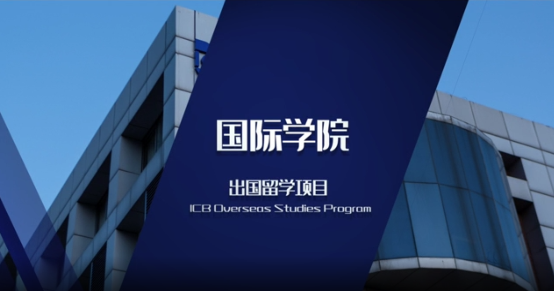 中国农业大学国际学院